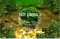 Tiêu chuẩn quốc tế gia tăng nhanh, định hình lại kinh tế toàn cầu