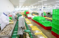 EU siết chặt kiểm soát đối với nông sản, thực phẩm nhập khẩu