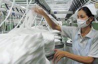 Việt Nam chi hơn 1,2 tỷ USD mua bông từ Mỹ