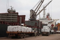 11 tháng, xuất khẩu xi măng, clinker vượt năm 2024