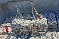 Sản xuất, tiêu thụ xi măng 2025 lập đỉnh mới 