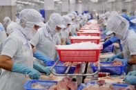 Việt Nam xuất siêu sang EU 38,6 tỷ USD