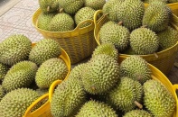 Trung Quốc chi 5,5 tỷ USD mua rau quả Việt Nam