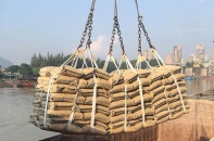 Triển vọng xuất khẩu xi măng, clinker năm 2026