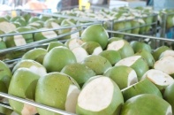 Xuất khẩu dừa thu hơn nửa tỷ USD