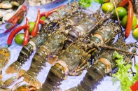 Thị trường Trung Quốc chi 1,23 tỷ USD mua tôm Việt Nam