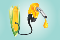 Việt Nam sẽ tăng nhập khẩu ethanol từ Mỹ