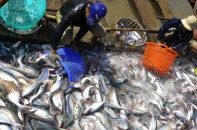 Doanh nghiệp xuất khẩu trước loạt rủi ro từ chiến sự Trung Đông