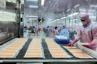 Doanh nghiệp xuất khẩu thực phẩm sang Trung Quốc phải kê chính xác mã số