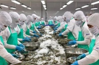 Thương mại Việt Nam - Trung Quốc khởi sắc