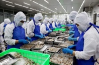 Xúc tiến thương mại và đầu tư với thị trường Hàn Quốc