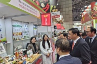 Đoàn doanh nghiệp Việt khảo sát thị trường Nhật Bản