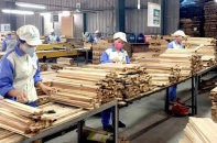 Xuất khẩu gỗ và sản phẩm gỗ thu hơn 7 tỷ USD, giữ nhịp tăng nhẹ