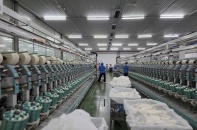 Ngành sản xuất tháng 7 tiếp đà phục hồi, PMI trở lại 53 điểm