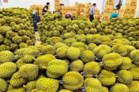 Xuất khẩu sang Trung Quốc tăng kỷ lục, 7 tháng xấp xỉ 46 tỷ USD