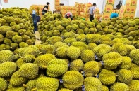 Thúc đẩy trao đổi thương mại nông sản Việt Nam - Ấn Độ
