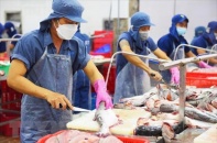 Sau giày dép, đến lượt ngành thủy sản kiến nghị gỡ khó cấp C/O