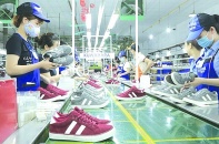 Việt Nam bán hơn 8 tỷ USD giày dép, túi xách sang Mỹ 8 tháng năm 2026