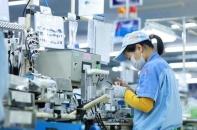 Việt Nam - Hàn Quốc họp bàn về kiểm soát xuất khẩu