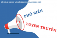 Huế: Đề nghị kỷ luật Giám đốc Sở NN&MT quyết toán hồ sơ giả gói thầu truyền thông