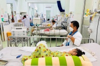 TP.HCM: Chủ động phòng bệnh sốt xuất huyết khi mùa mưa đến