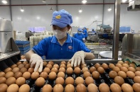 Sản phẩm từ chăn nuôi xanh chịu thiệt đủ đường trên “sân nhà”