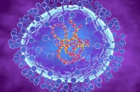 Sở Y tế TP.HCM: HMPV không phải là virus mới, từng được phát hiện năm 2023-2024