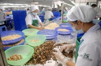 Xuất khẩu nông sản vào EU: Tăng chất lượng để giảm cảnh báo