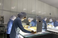 Xuất khẩu tăng lợi thế từ xanh hóa hoạt động sản xuất