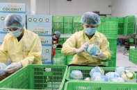 Doanh nghiệp Việt mở rộng thị trường nhờ chiến lược định vị thương hiệu