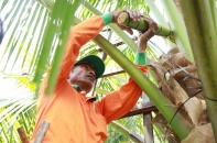 Nông nghiệp thông minh: Từ điểm nghẽn chuyển giao đến yêu cầu tái cấu trúc toàn diện