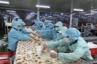 Nông sản Việt trước “luật chơi carbon”: Không chuyển đổi sẽ mất thị trường