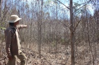 Miền Trung trong cơn khát nước!