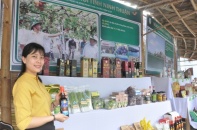 Duyên hải Nam Trung Bộ và Tây Nguyên vẫn là vùng trũng về xây dựng nông thôn mới