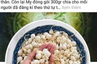 Quảng Ngãi đề nghị Bộ Công an xác minh chủ tài khoản facebook thông tin tỏi Lý Sơn nhiễm thuốc trừ sâu 