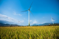 Ninh Thuận có 4.383 ha đất được quy hoạch là đất năng lượng Ninh Thuận có 4.383 ha đất được quy hoạch là đất năng lượng