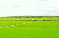 Lộc Trời triển khai drone chăm sóc nông sản ở miền Trung