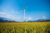 Hơn 88.000 tỷ đồng đầu tư vào năng lượng tái tạo ở Ninh Thuận