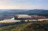 Đắk Nông rà soát các dự án trong Khu nông nghiệp ứng dụng công nghệ cao