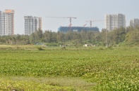 Quảng Nam giao hơn 80.000 m2 đất thực hiện dự án Khu đô thị QNK I