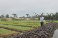 Quảng Nam đề nghị chuyển đổi hơn 30 ha đất lúa, đất rừng phòng hộ 