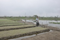 Quảng Nam: Công ty Chí Thành và Dana Homeland tranh quyền tại Khu đô thị số 11