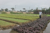 Quảng Nam: Công ty Thái Dương được giao hơn 63.000 m2 đất xây Khu đô thị Ngân Câu Villa