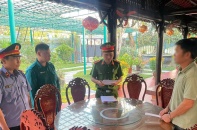 Quảng Nam: Khởi tố, bắt tạm giam đối tượng trốn thuế hơn 20 tỷ đồng