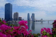 Đà Nẵng đấu giá khu đất 298.575 m² để triển khai Chợ đầu mối Hòa Phước