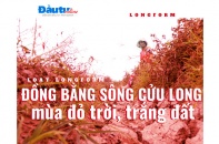 {Longform} Đồng bằng sông Cửu Long mùa đỏ trời, trắng đất - Kỳ 1: Quay cuồng trong… khát