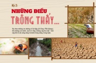 {Longform} Đồng bằng sông Cửu Long mùa đỏ trời, trắng đất - Kỳ 2: Những điều trông thấy...