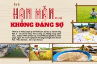 {Longform} Đồng bằng sông Cửu Long mùa đỏ trời, trắng đất - Kỳ 3: Hạn mặn... không đáng sợ