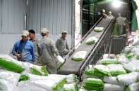Thạch đen Lạng Sơn xuất khẩu chính ngạch sang Trung Quốc
