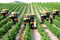 Năm 2020, hơn 1.700 hợp tác xã nông nghiệp ứng dụng công nghệ cao